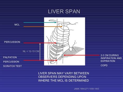 scratch test liver video|liver palpable below costal margin.